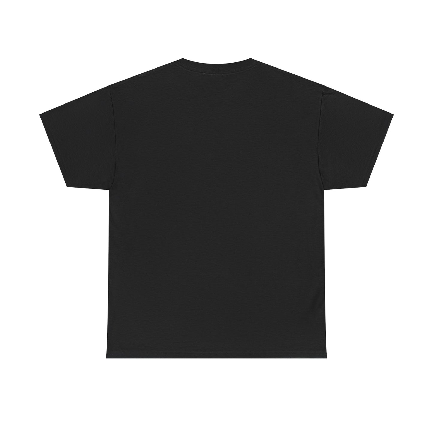 Iron Sharpens Iron T Shirt Unisex
