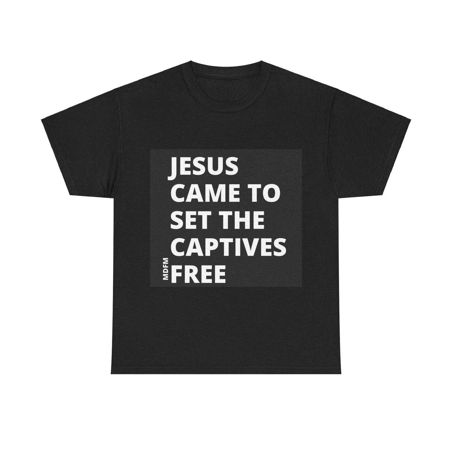 Jesus Came To Set The Captives Free T Shirt Unisex