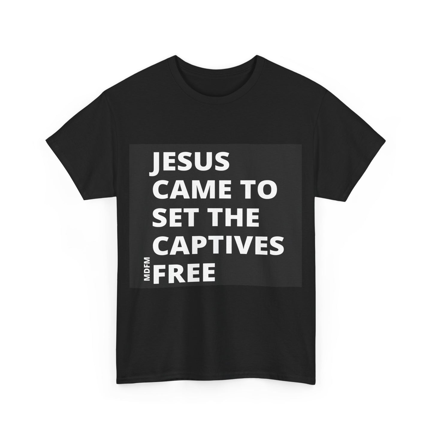 Jesus Came To Set The Captives Free T Shirt Unisex